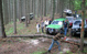 Team building off-road organizat de Radu Travel