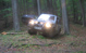 Team building off-road organizat de Radu Travel